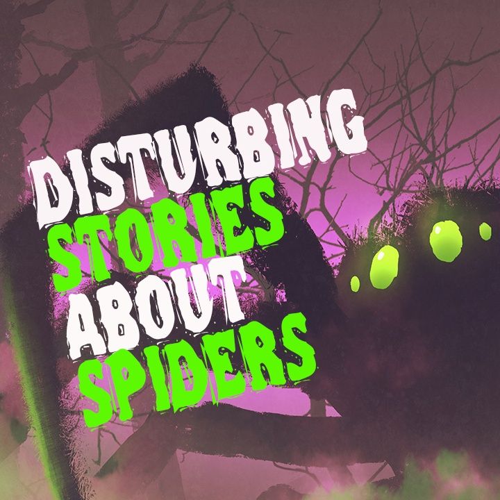 Disturbing Stories About Creepy Spiders