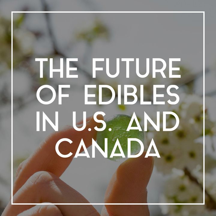 47 The Future of Edibles in the U.S. and Canada