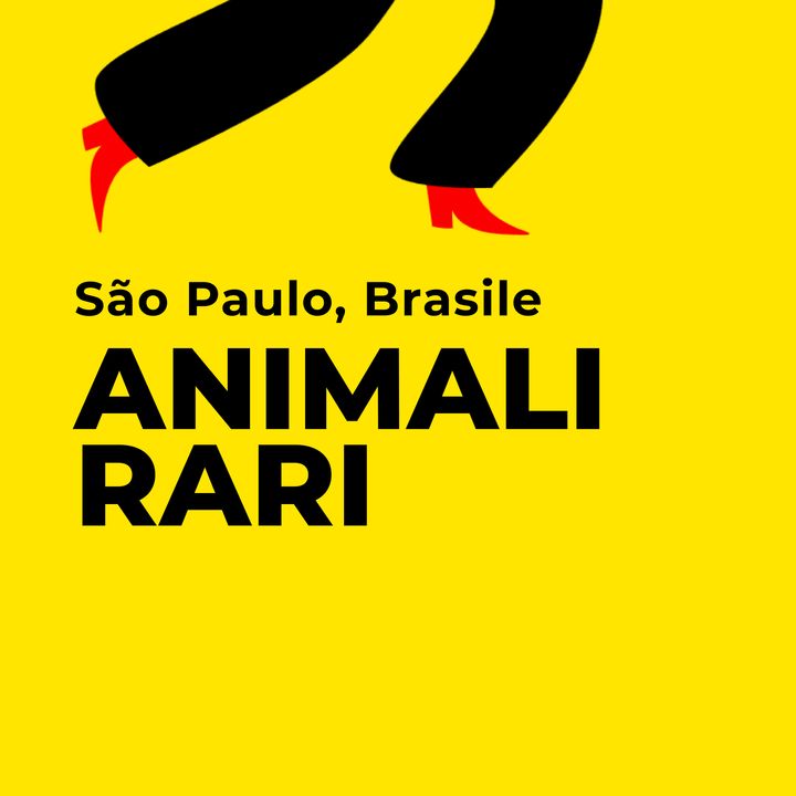 São Paulo, la Gigalopoli Made in Brasile (quarta parte)