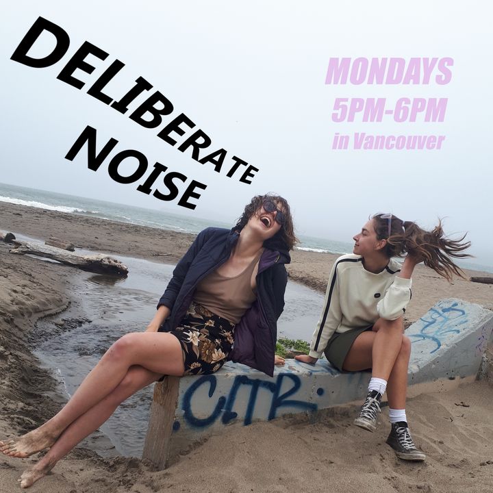 Deliberate Noise
