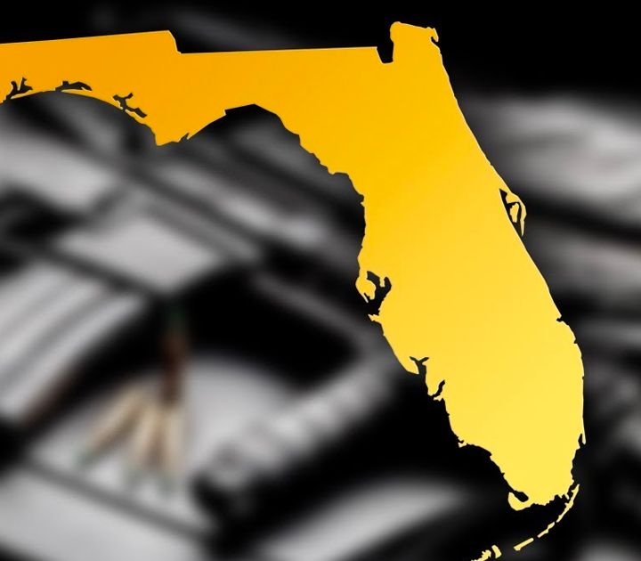 Florida's Semi-Auto Ban Petition Ballot is Null & Void +