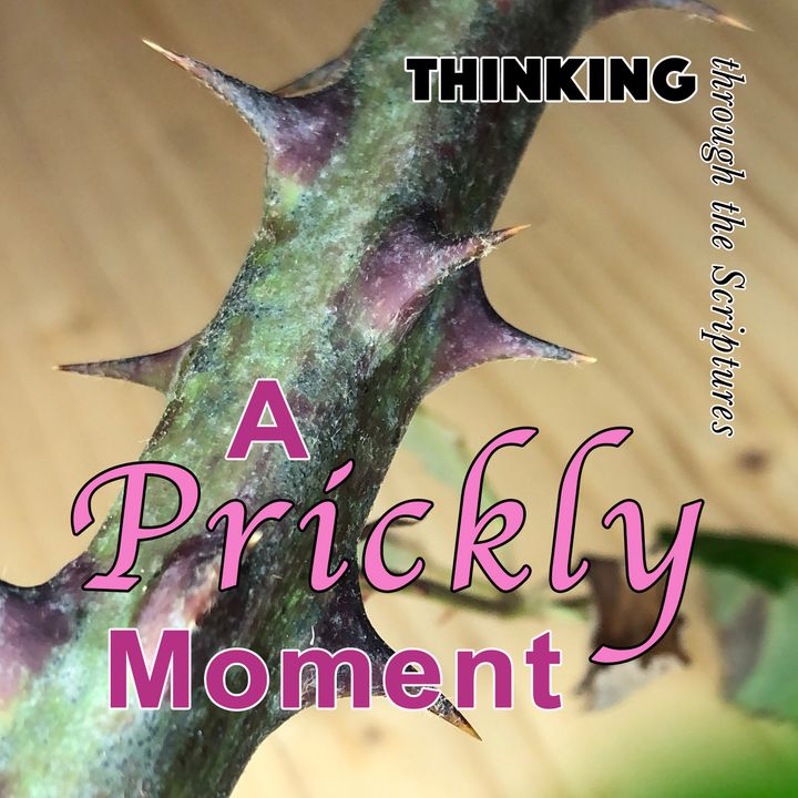 A Prickly Moment (TTTS#14)