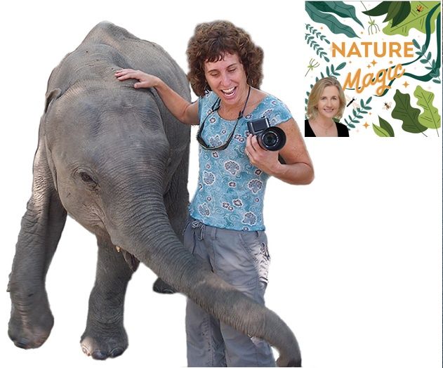 Episode 32 Janie Chodosh meets the Elephant Doctor of India