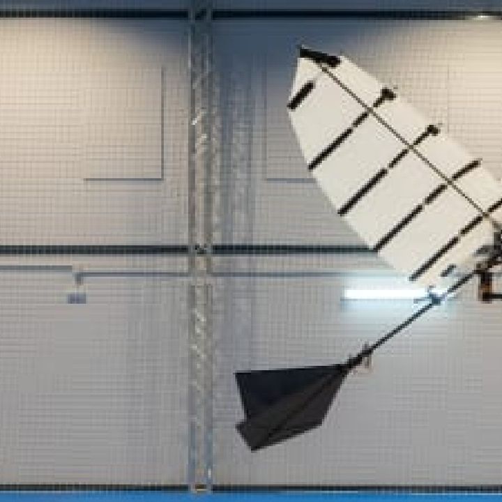 A Flapping-Wing Robot Able to Perch [W[R]C]