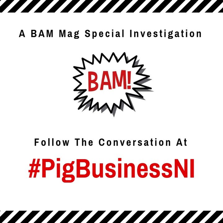 BAM Mag Special Report - #PigBusinessNI