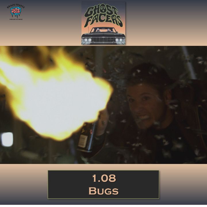 1.08: Bugs