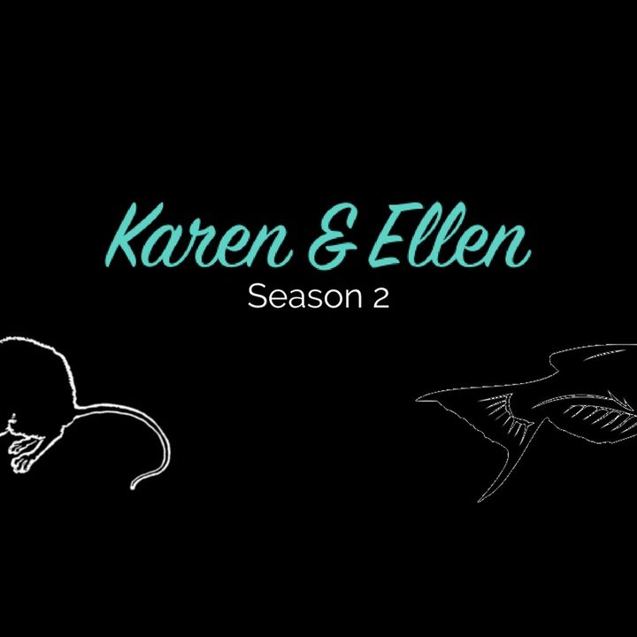 S02|E06: Best-Selling Feline Author (The Accident)