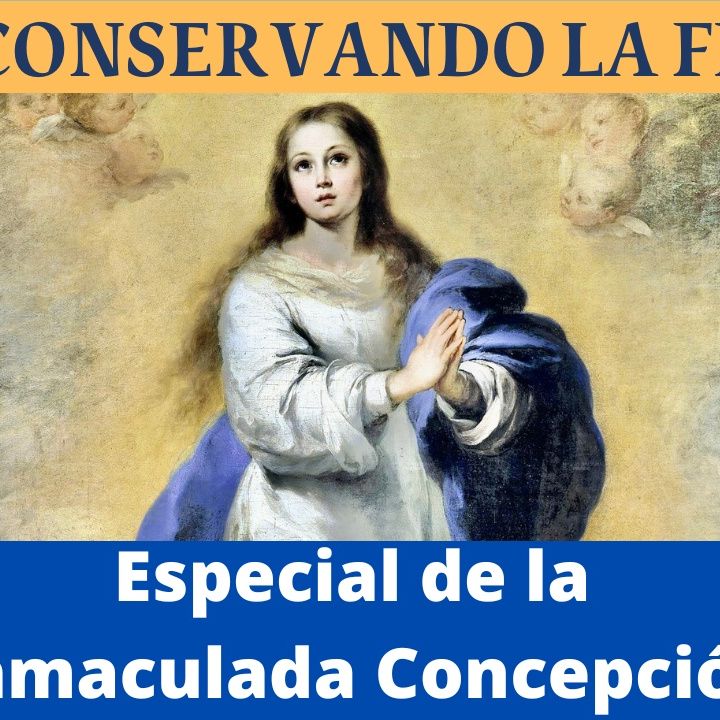 Especial de la Inmaculada: explicación del dogma y sus repercusiones en nuestra vida.