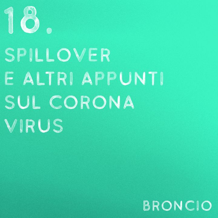 18 - Spillover e altri appunti sul coronavirus
