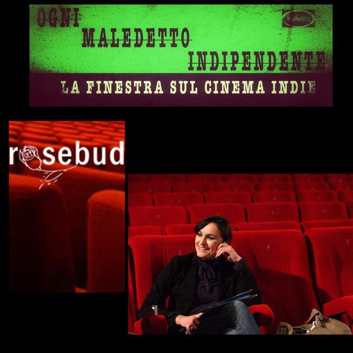 #27 Ogni Maledetto Indipendente - La finestra sul cinema Indie. Sandra Campanini (Cinema Rosebud - Reggio Emilia)