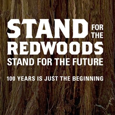 California's Iconic Redwoods - Sam Hodder on Big Blend Radio
