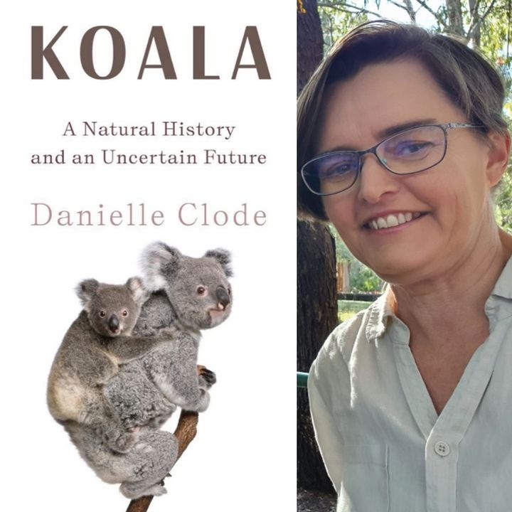 Danielle Clode - Koala: A Natural History and an Uncertain Future