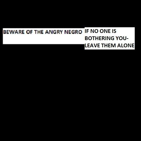 WNR_Racist White Folk Be Aware Of The Angry Negro