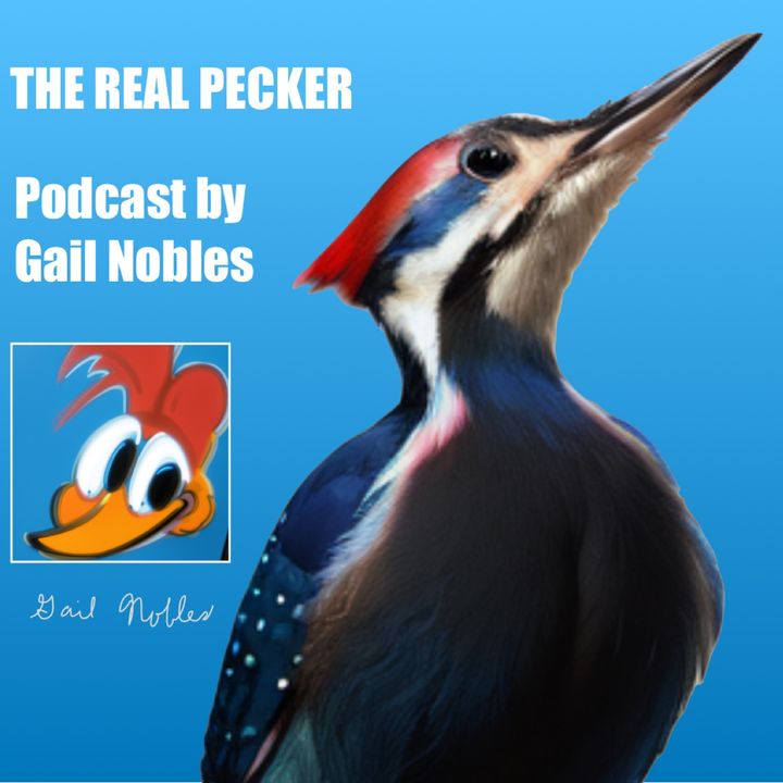 The Real Pecker 9:23:23 5.29 PM