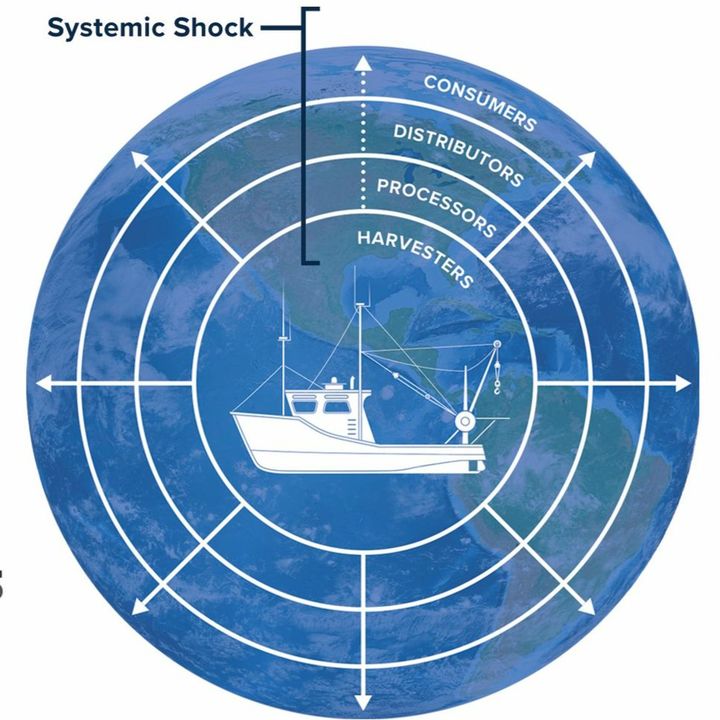 Alternative seafood networks during COVID-19