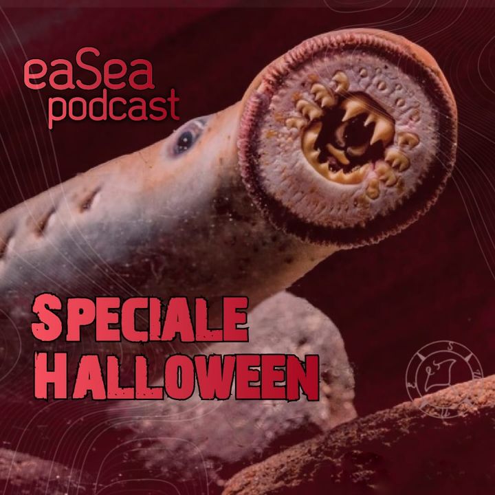Speciale Halloween: non solo squali ma anche zombie e vampiri (un assaggio dell'horror dei sette mari)