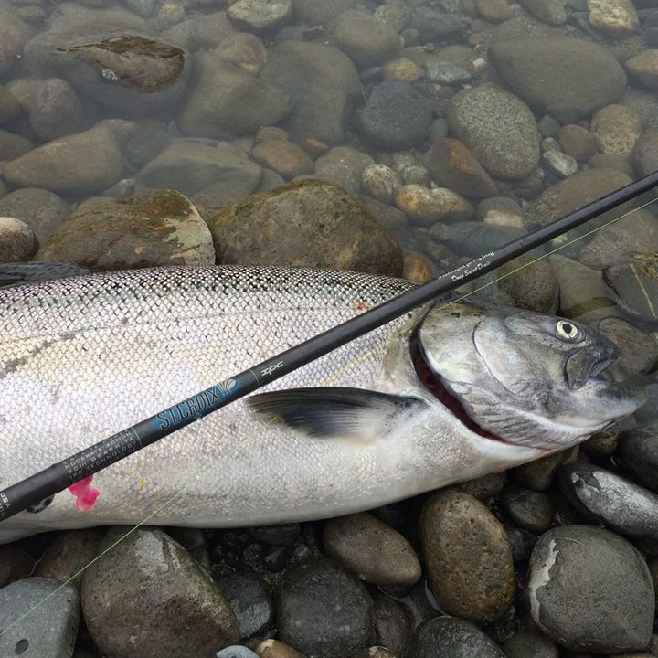 NWWC 9-23 Doug Saint-Denis LIVE from the Snohomish River