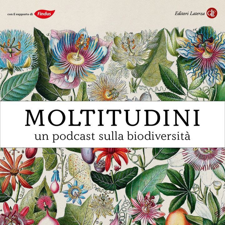 Moltitudini, podcast sulla biodiversità