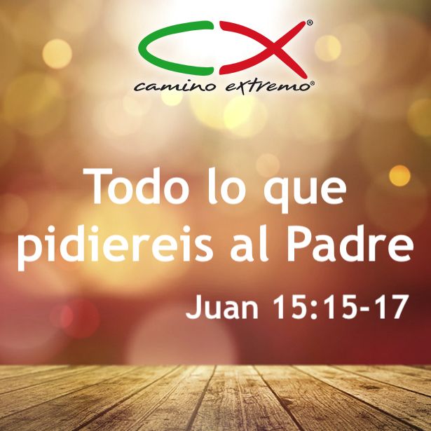 Oración 2 de enero (Todo lo que pidiereis al Padre)