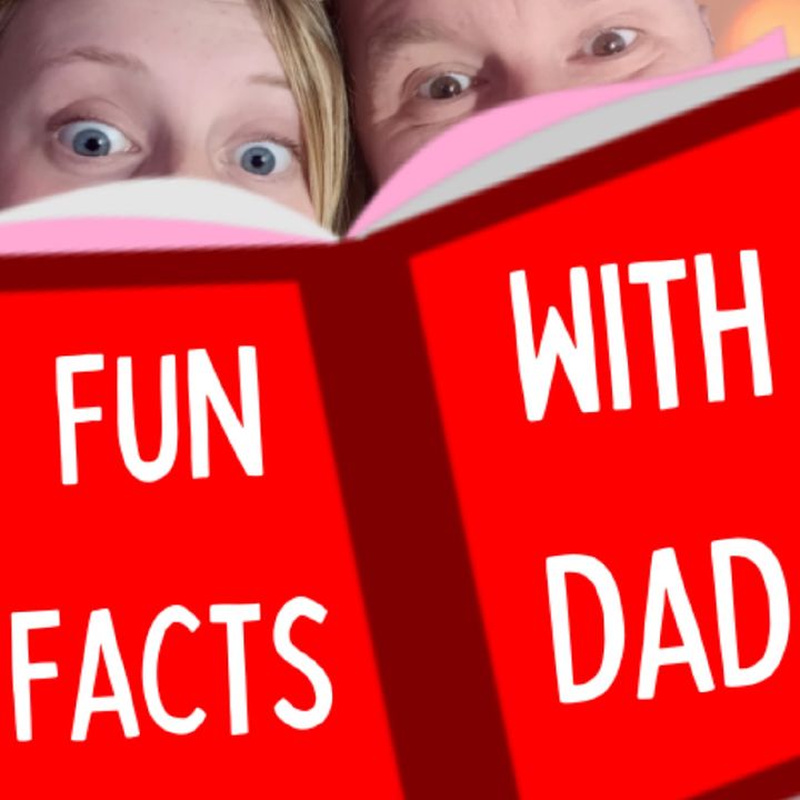 Fun Facts With Dad