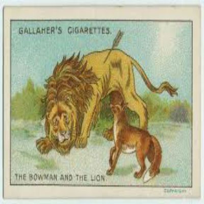 FFGF- The Bowman & The Lion