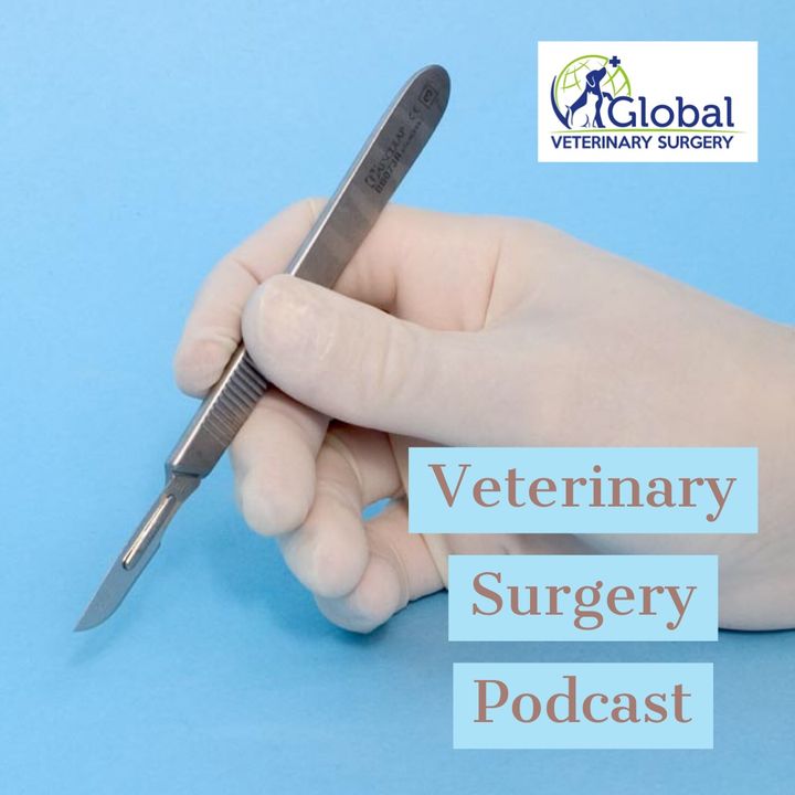Veterinary Surgery Podcast Introduction
