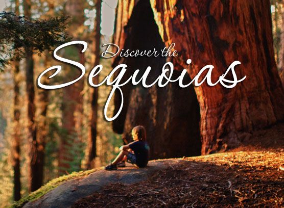 Fall Fun in California's Sequoia Country