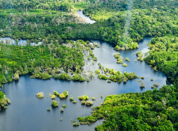 Amazzonia, un mese da dimenticare. Per Lula inizia la sfida più difficile