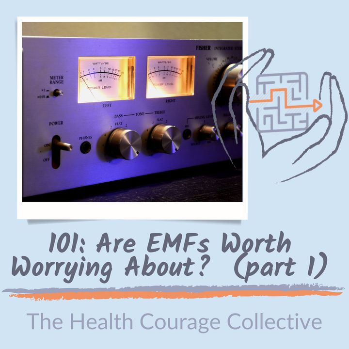 101: Are EMFs Worth Worrying About (part 1)