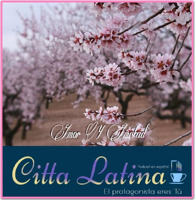 Bonus- día de San Valentin en Citta Latina