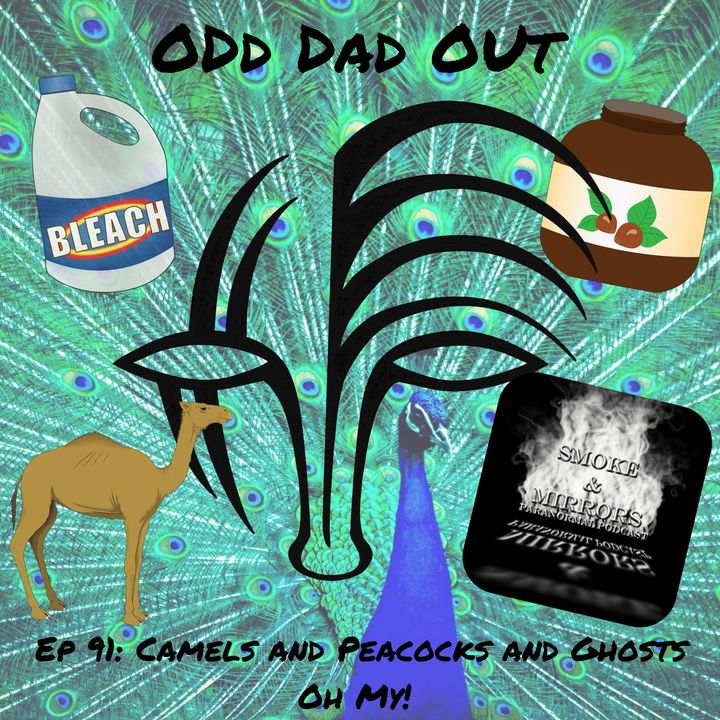 ODO 91: Camels and Peacocks and Ghosts, Oh My!