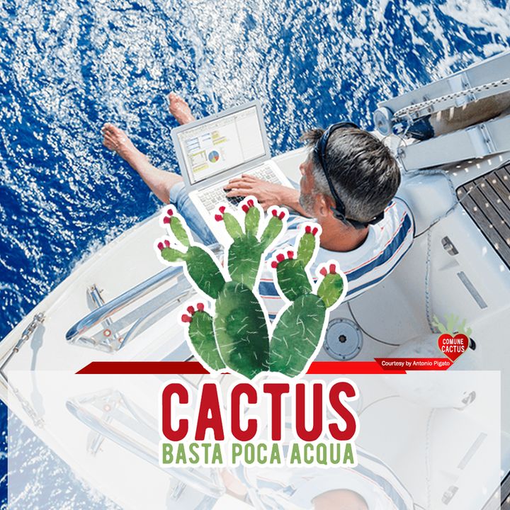 Cactus #20 - La rivincita del Sud - 11/02/2021
