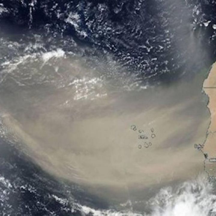 Polvo del Sahara llega a ocho estados
