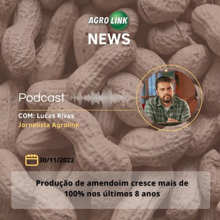 Mais de 70% do trigo brasileiro já foi colhido