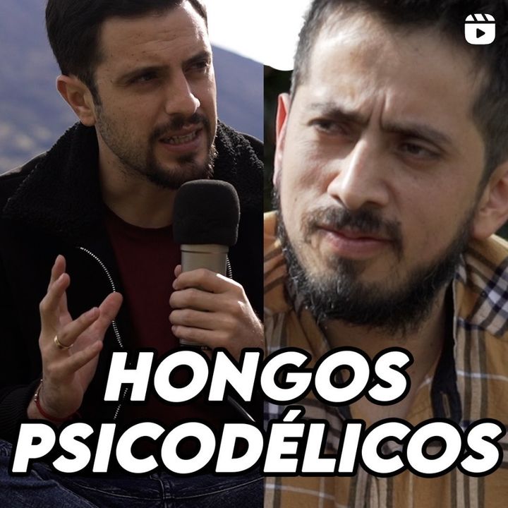 Hongos psicodélicos│JAIME ENRIQUEZ