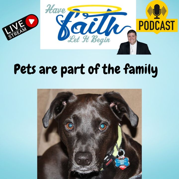 Ep1318: Pets are part of the family