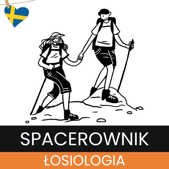 Spacerownik 1 - co innego w Szwecji