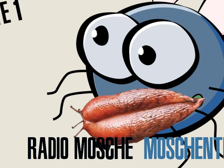 Radio Mosche - Puntata 34: Moschentessi (PARTE I)