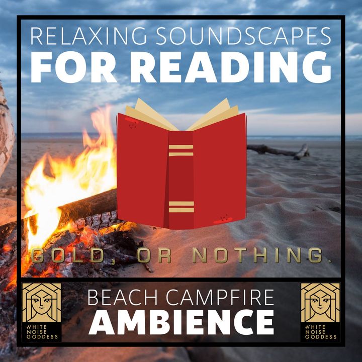 Beach Campfire | Relaxing Soundscape For Reading | Studying | Concentration | Mindfulness