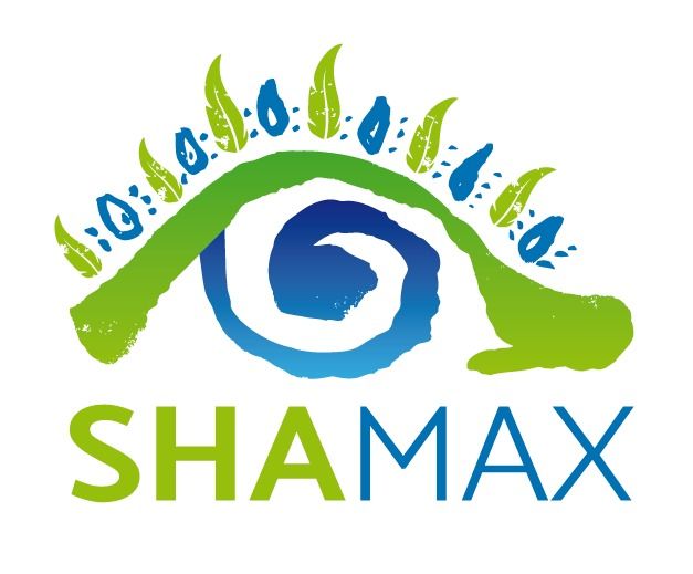 2) SHAMAX - LO SCIAMANO MODERNO