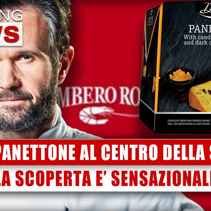 Lidl, Panettone Al Centro Della Scena: La Scoperta E' Sensazionale!
