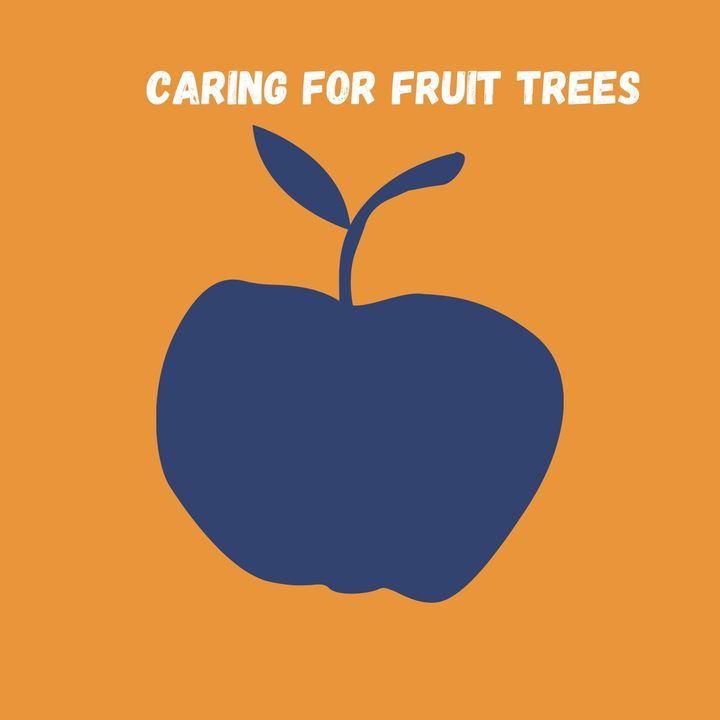 Caring for Fruit Trees
