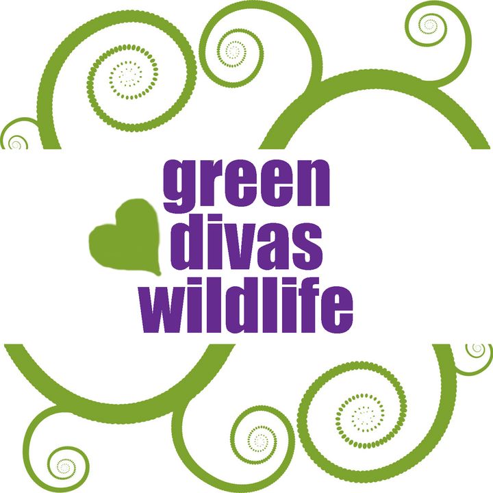 Green Divas Heart Wildlife
