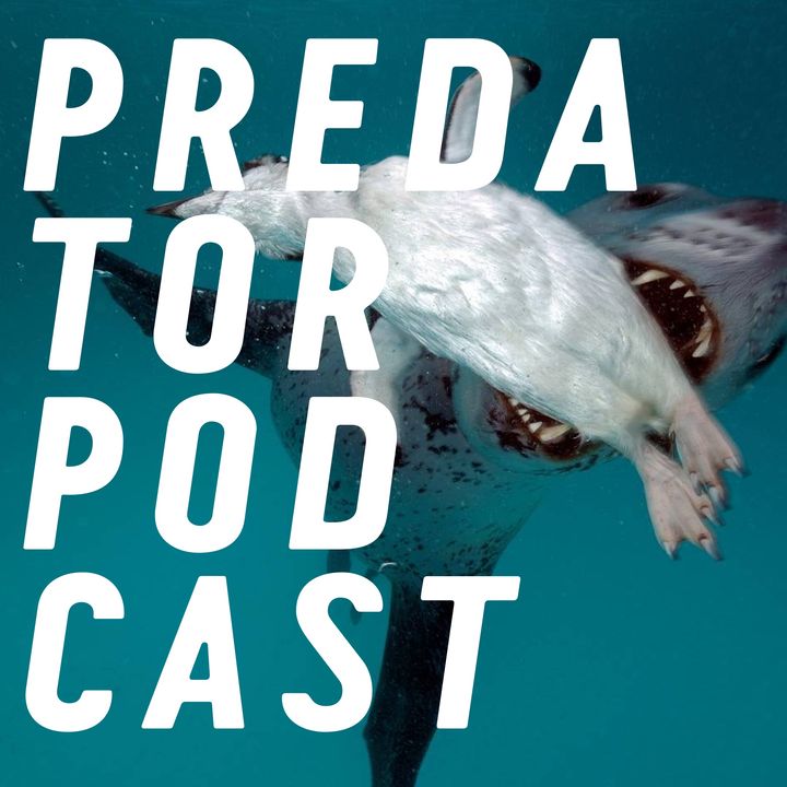 Episode 2: Sharks and Orcas