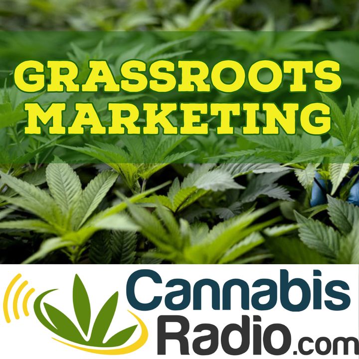 Glass Blowing, Retail and the Cannabis Industry with Chris Piazza of CannaDevices