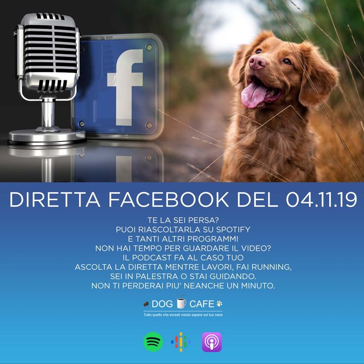 #6 - Diretta facebook del 04.11.19