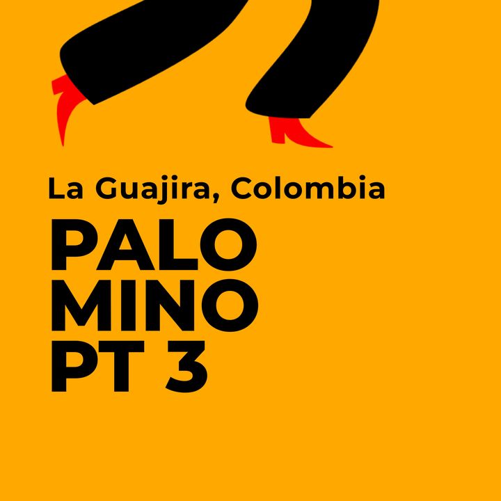 Palomino (terza parte). La Guajira, Colombia.