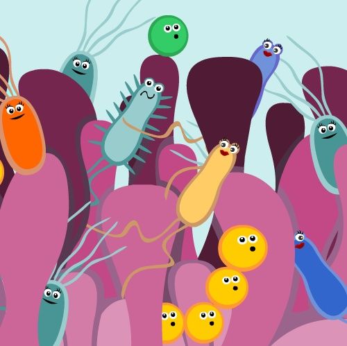 Youth Radio - Gut Bacteria Research