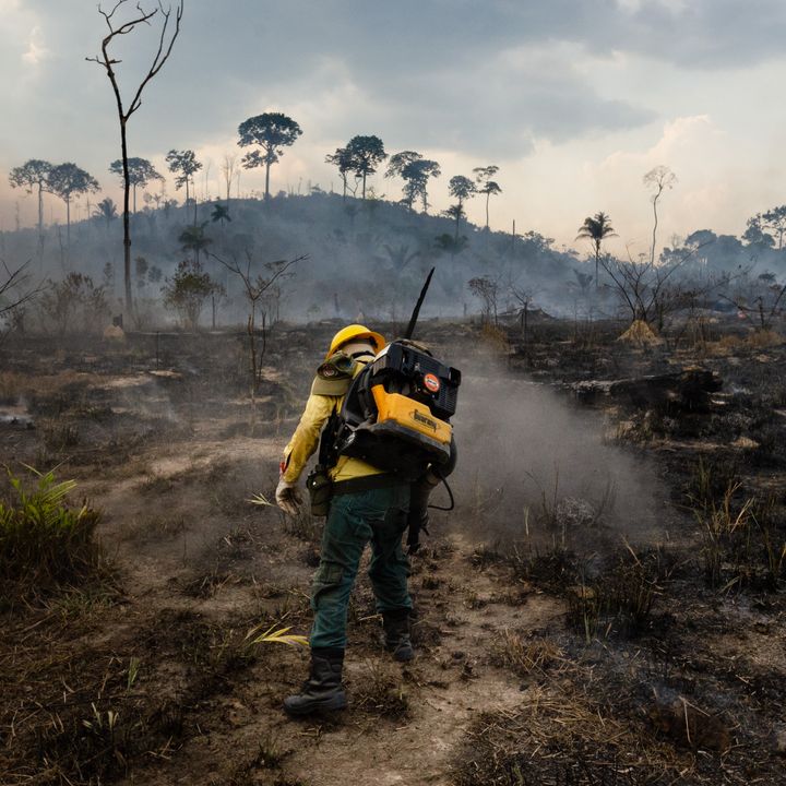 Brazil on Fire Episode 6: Amazon up in Smoke