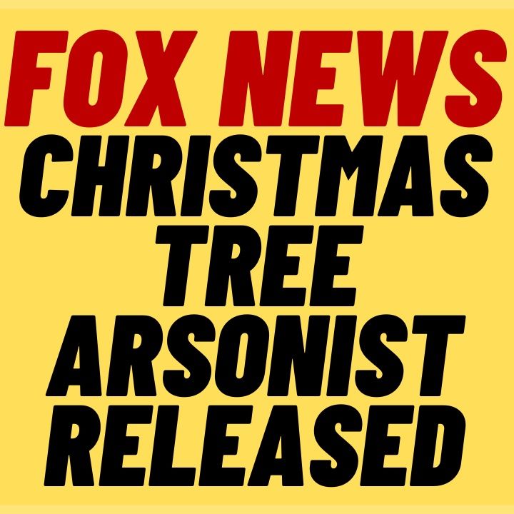 FOX CHRISTMAS TREE Arsonist Released Without Bail